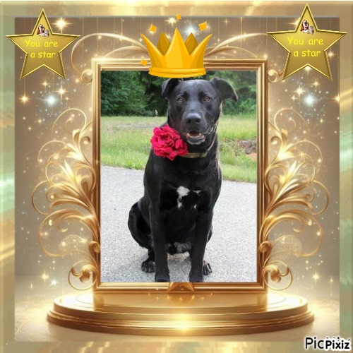Zander of the Jax family