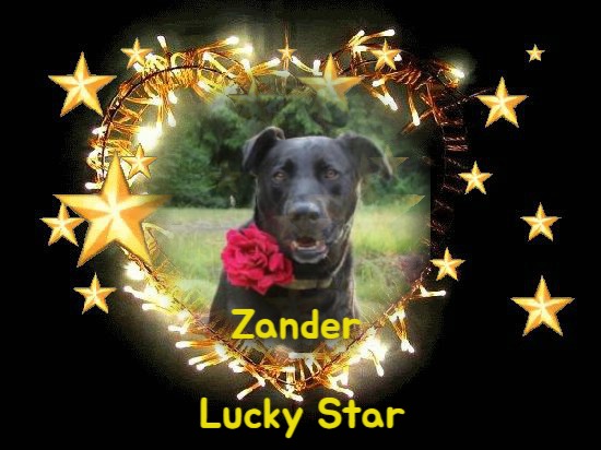 Zander of the Jax family