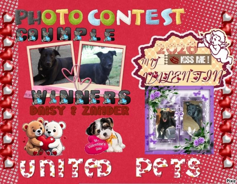 Zander of the Jax family