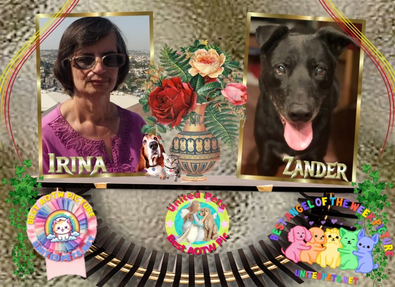 Jax uploaded   89  day/s  ago