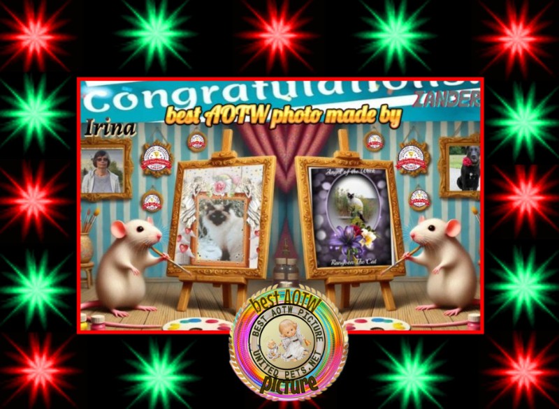 Jax uploaded   89  day/s  ago