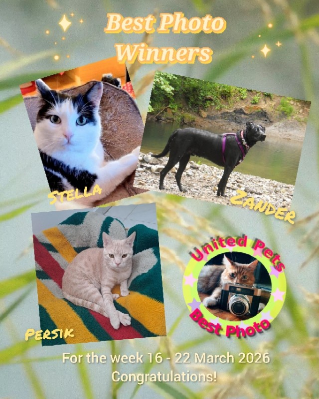 Zander of the Jax family