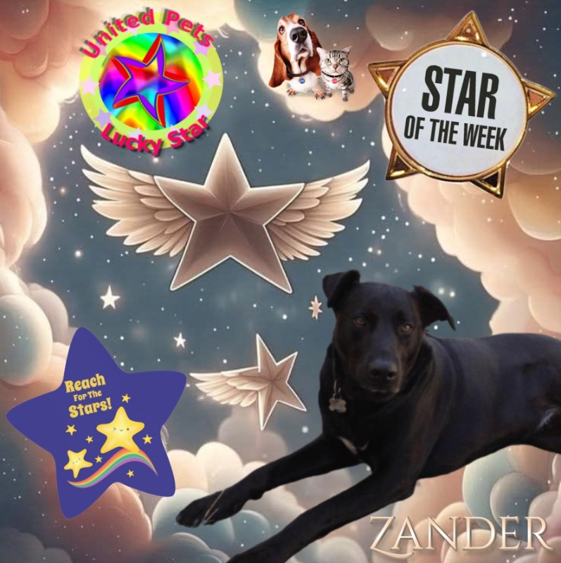 Zander of the Jax family