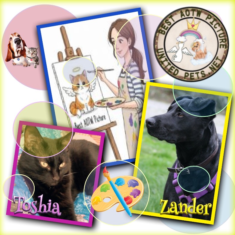 Jax uploaded   52  day/s  ago