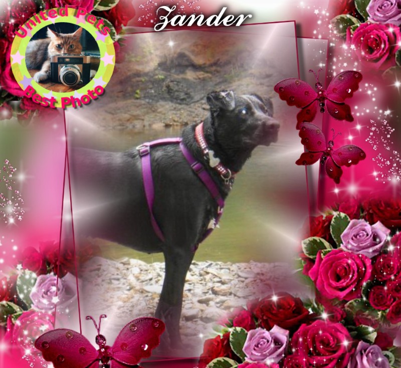 Jax uploaded   17  day/s  ago