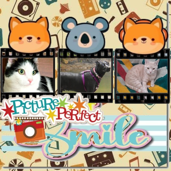 Zander of the Jax family