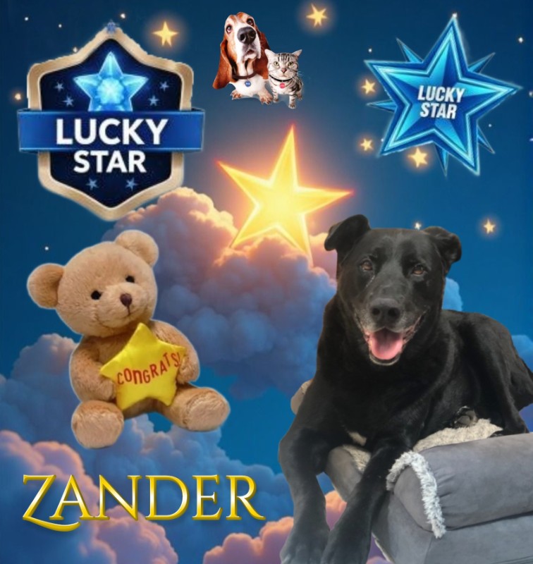Zander of the Jax family