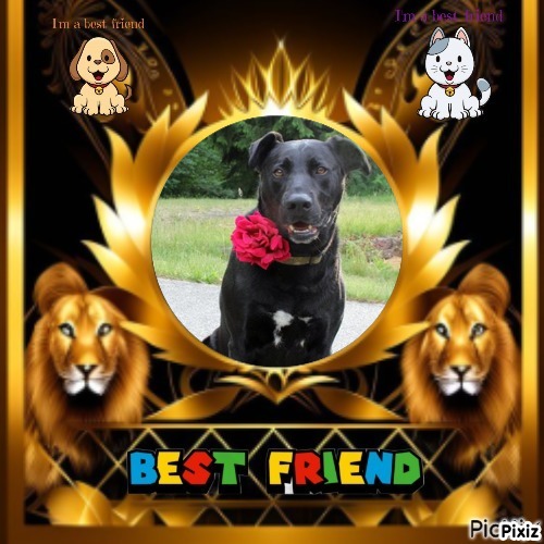 Zander of the Jax family