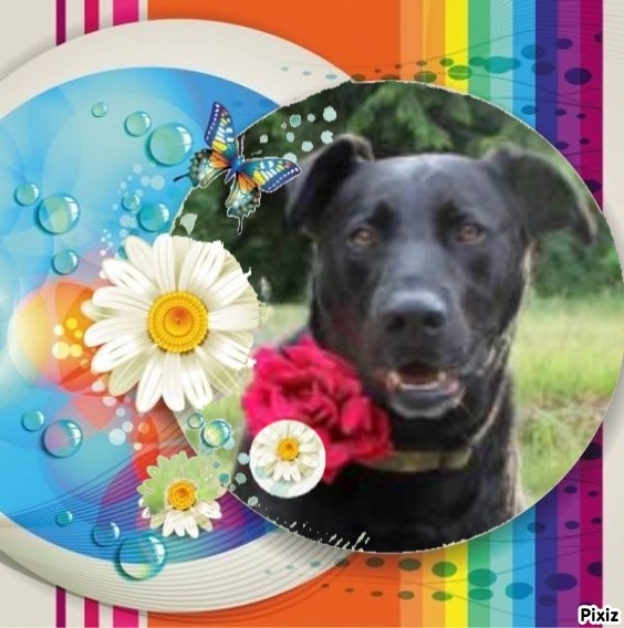 Jax uploaded   89  day/s  ago