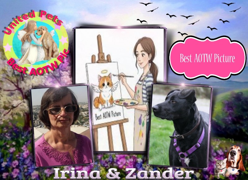 Jax uploaded   85  day/s  ago