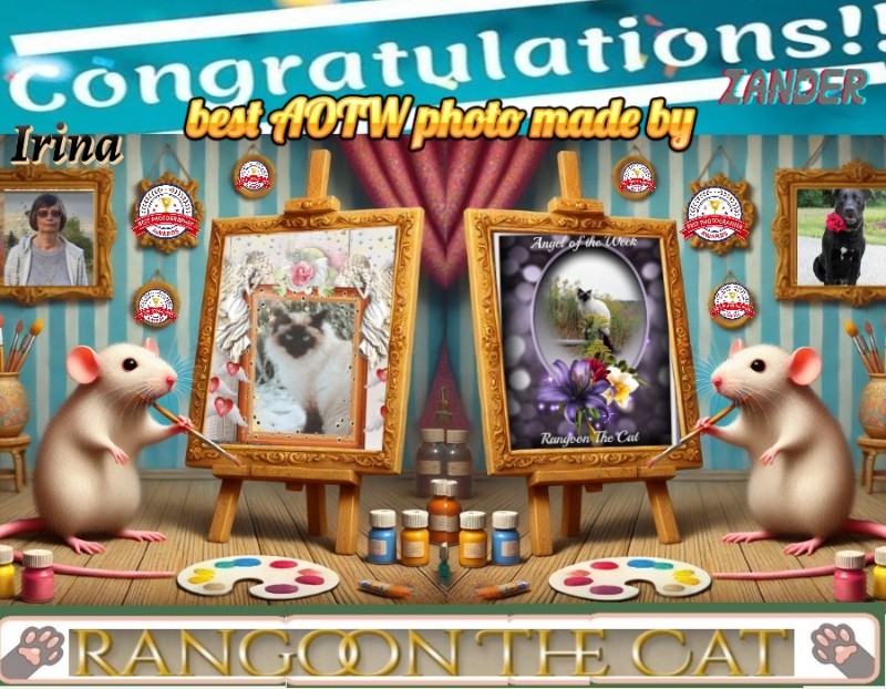 Jax uploaded   89  day/s  ago