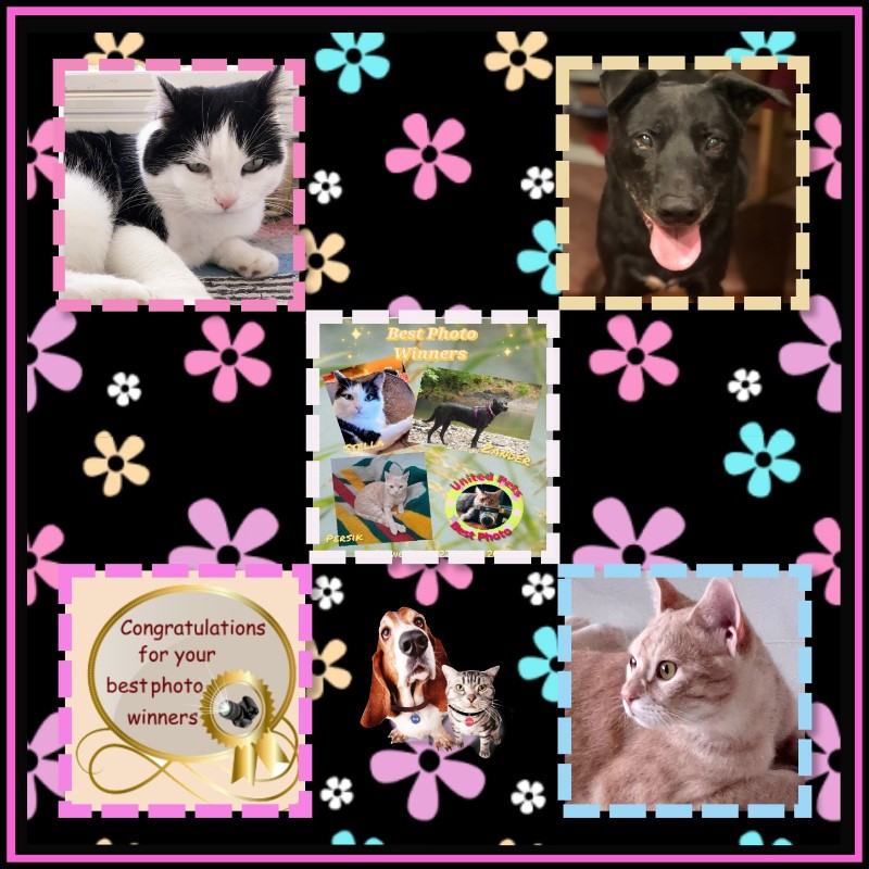 Zander of the Jax family