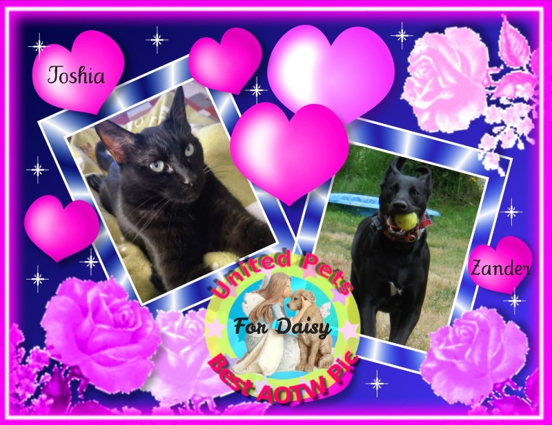 Jax uploaded   53  day/s  ago