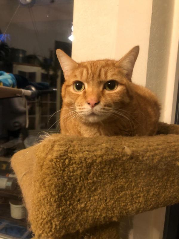 Jax uploaded   1 year/s ago