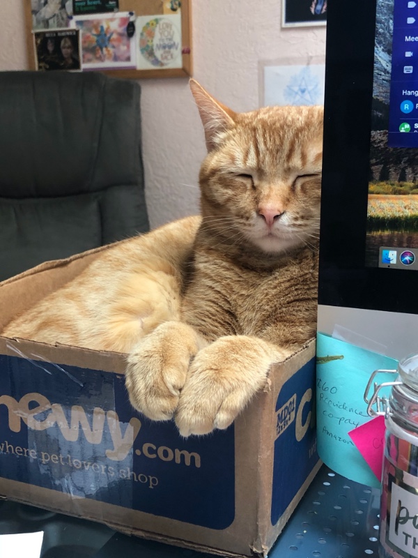 Jax uploaded   3 year/s ago