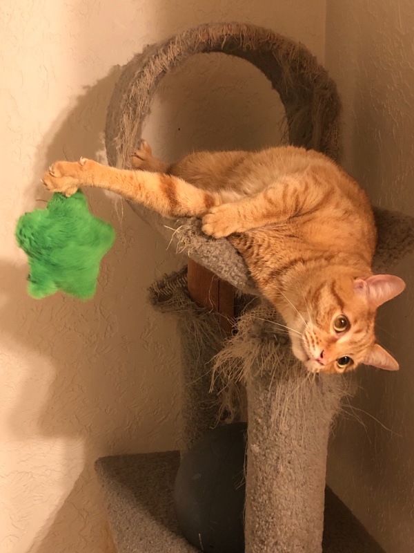 Jax uploaded   3 year/s ago