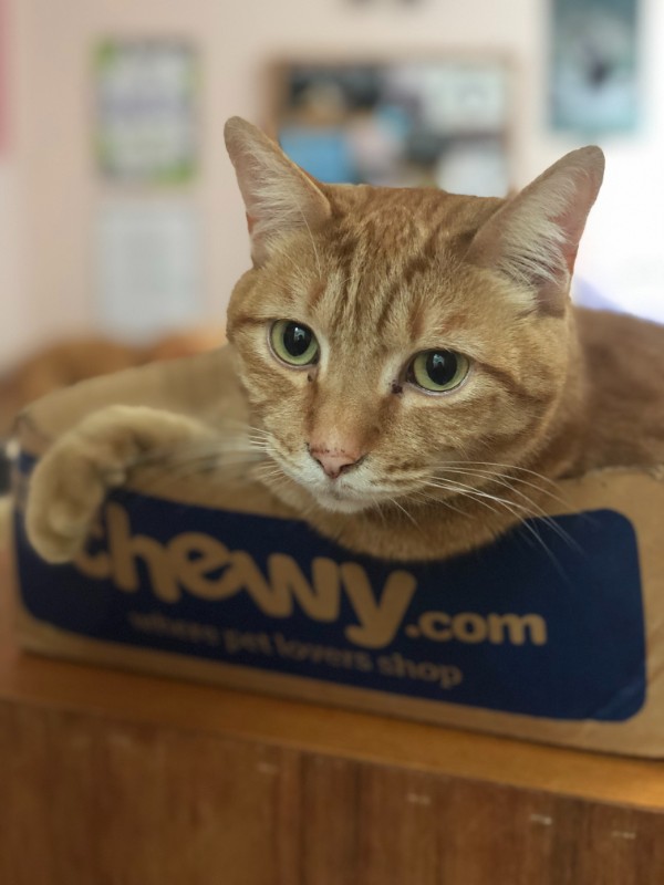 Jax uploaded   3 year/s ago