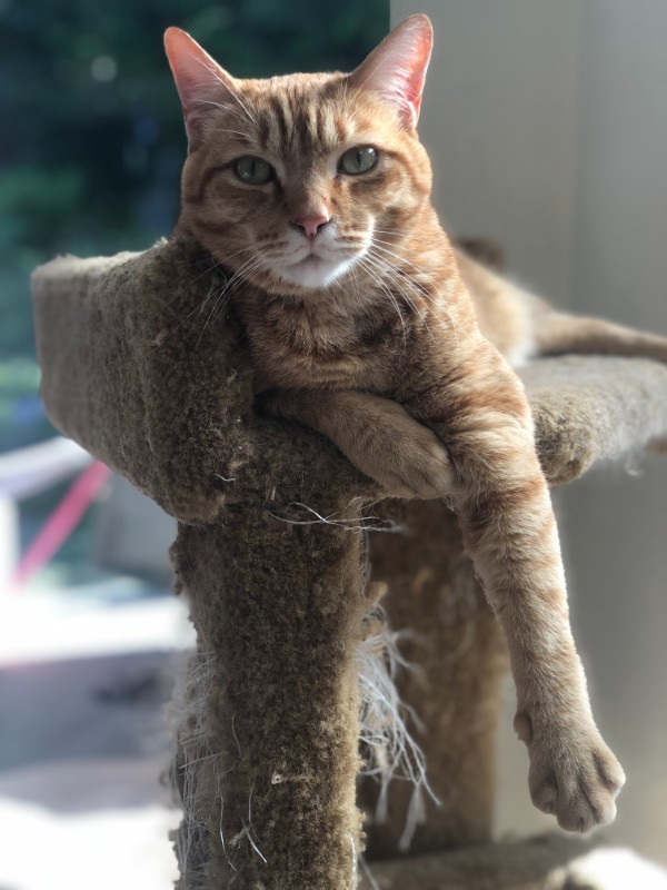 Jax uploaded   2 year/s ago