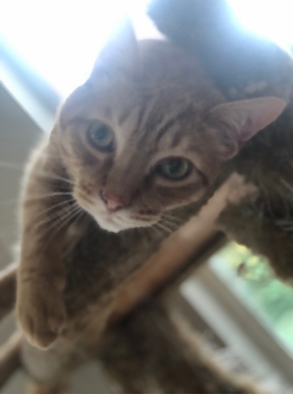 Jax uploaded   1 year/s ago