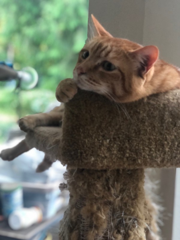 Jax uploaded   1 year/s ago