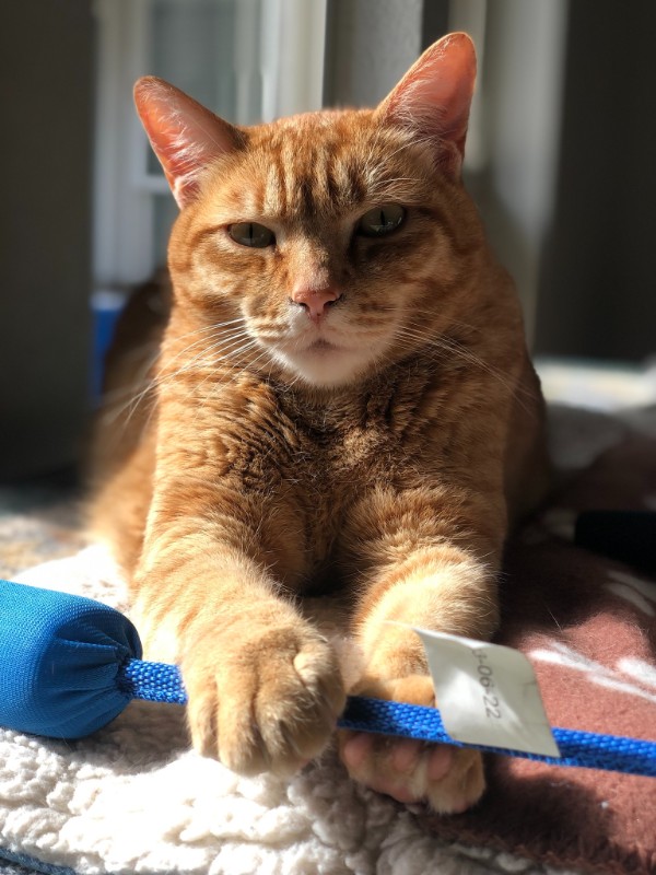 Jax uploaded   1 year/s ago