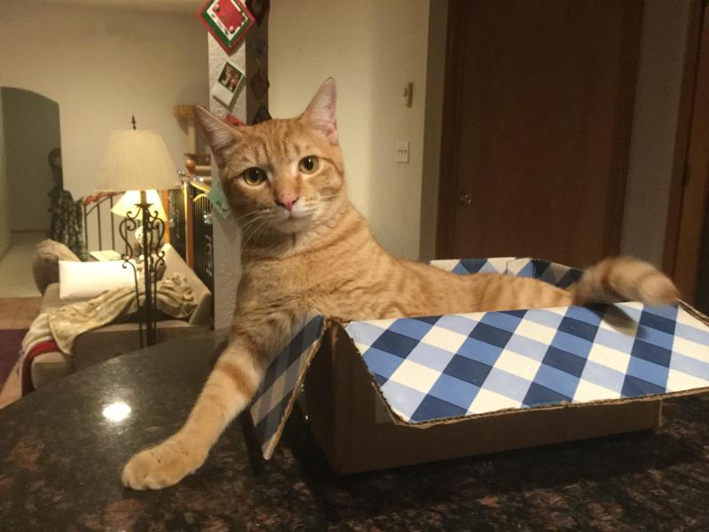 Jax uploaded   83  day/s  ago