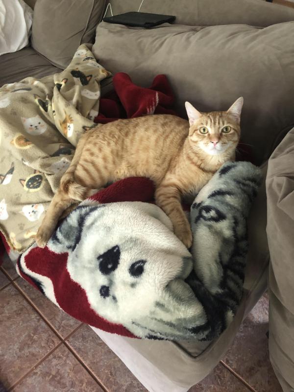 Jax uploaded   83  day/s  ago