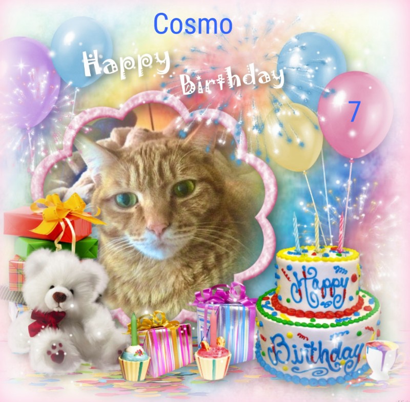 Cosmo of the Jax family