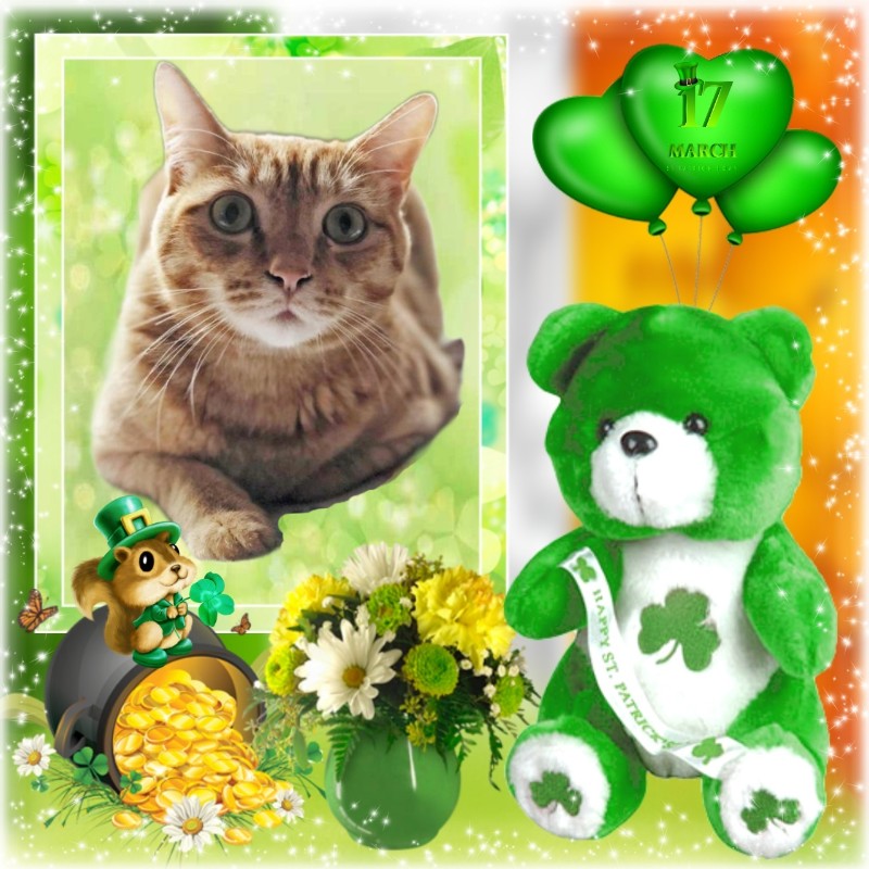 Cosmo of the Jax family