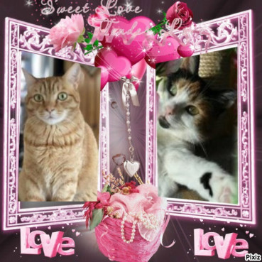 Jax uploaded   98  day/s  ago