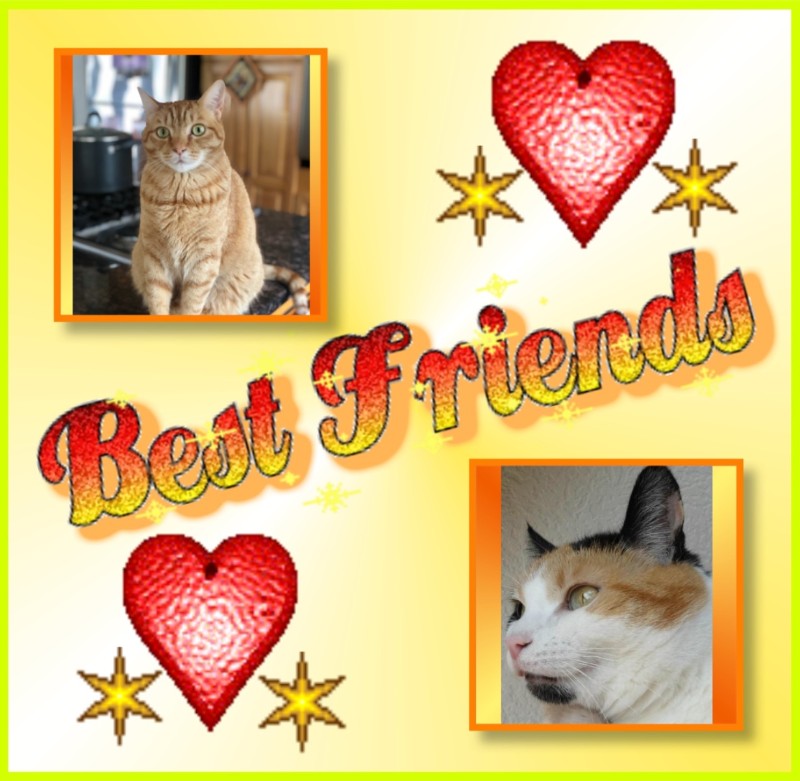 Jax uploaded   95  day/s  ago