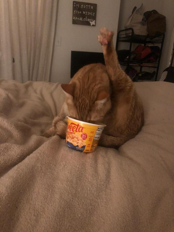 Jax uploaded   1 year/s ago