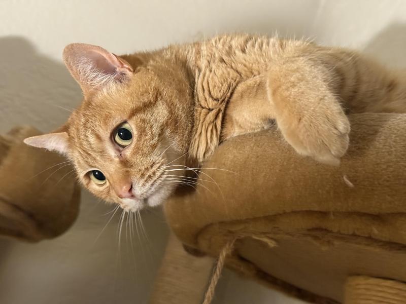 Jax uploaded   313  day/s  ago