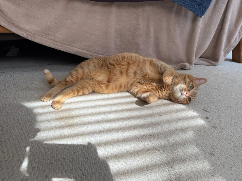 Jax uploaded   313  day/s  ago