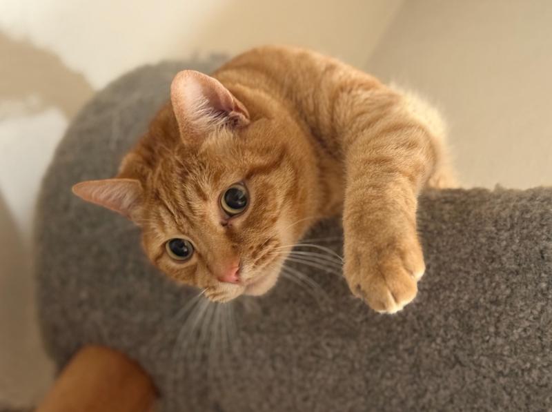 Jax uploaded   306  day/s  ago