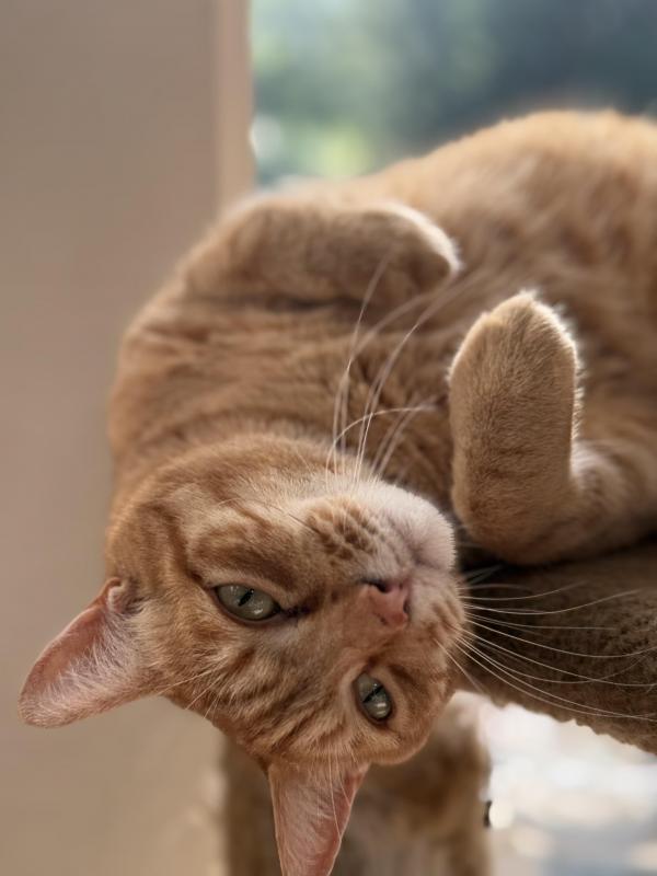 Jax uploaded   329  day/s  ago