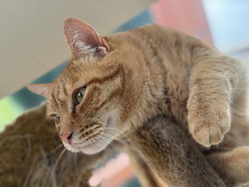 Jax uploaded   327  day/s  ago