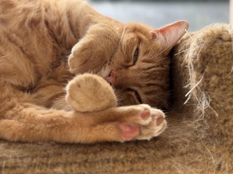 Jax uploaded   327  day/s  ago