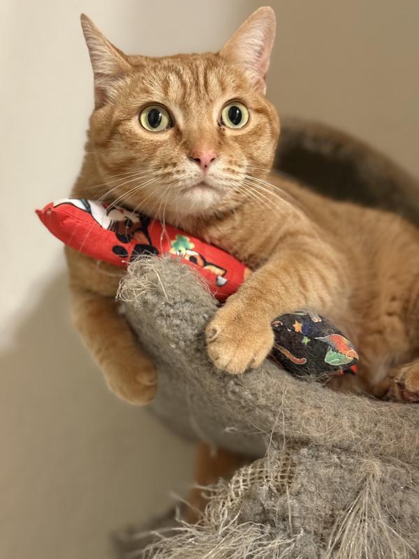 Jax uploaded   216  day/s  ago