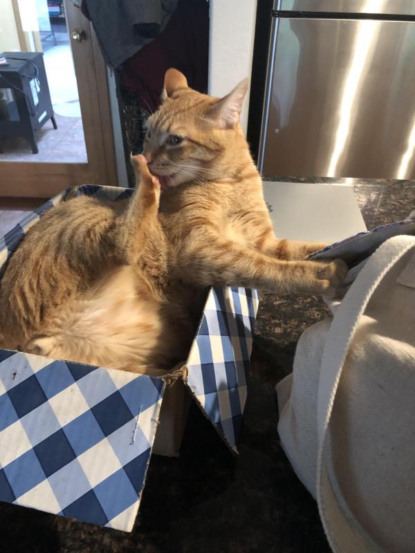 Jax uploaded   246  day/s  ago