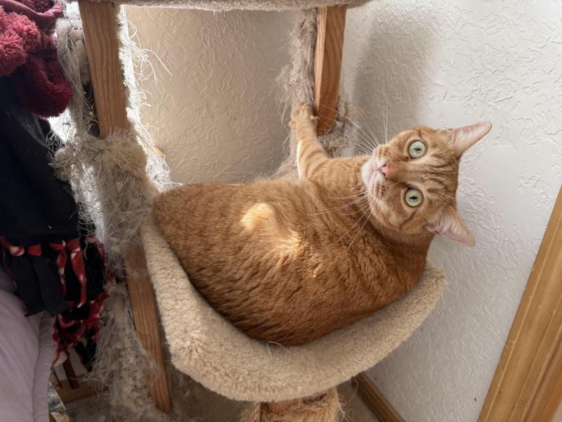 Jax uploaded   215  day/s  ago