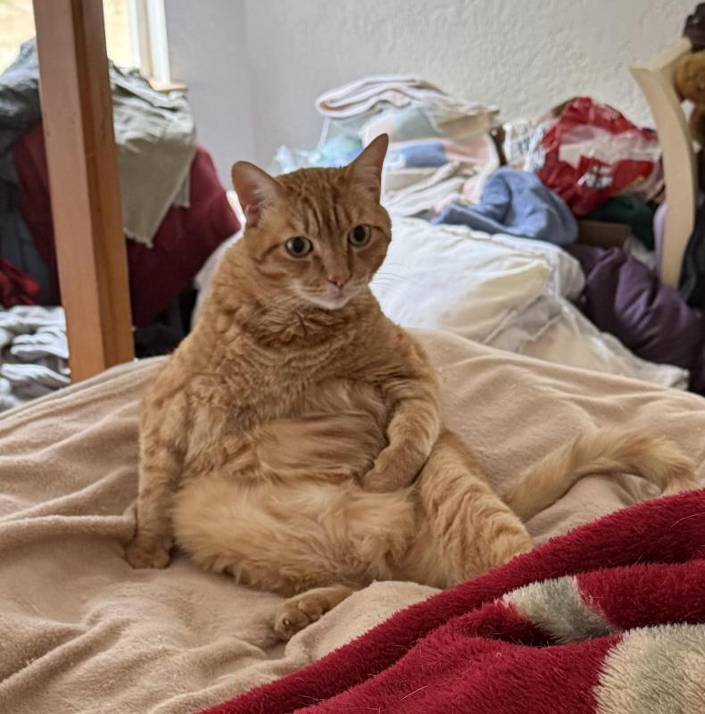 Jax uploaded   234  day/s  ago