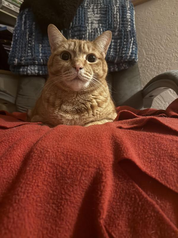 Jax uploaded   98  day/s  ago