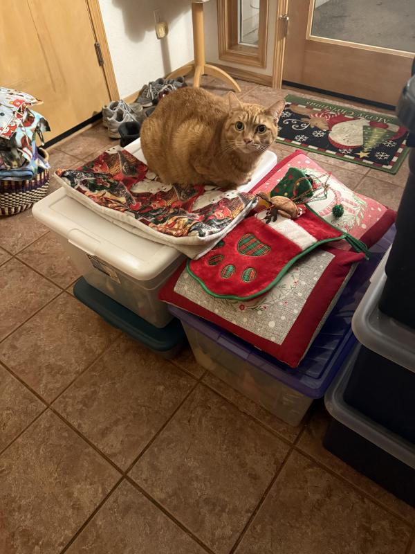 Jax uploaded   97  day/s  ago