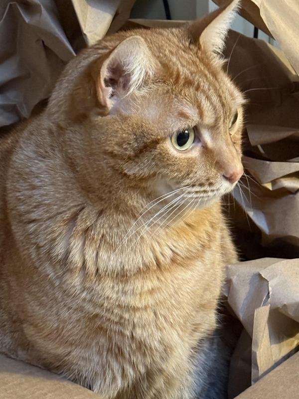 Jax uploaded   76  day/s  ago