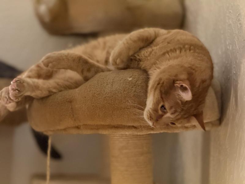 Jax uploaded   34  day/s  ago