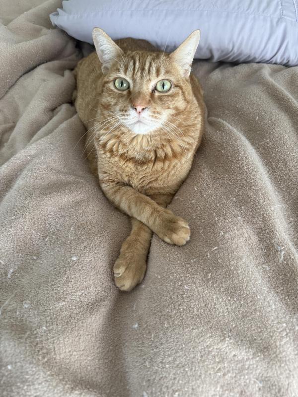 Jax uploaded   45  day/s  ago