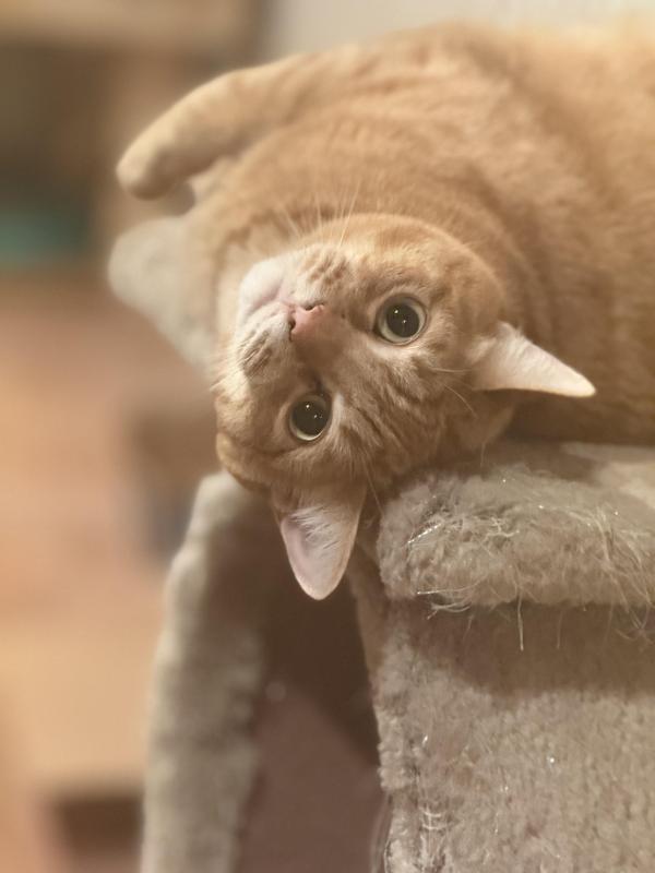 Jax uploaded   41  day/s  ago