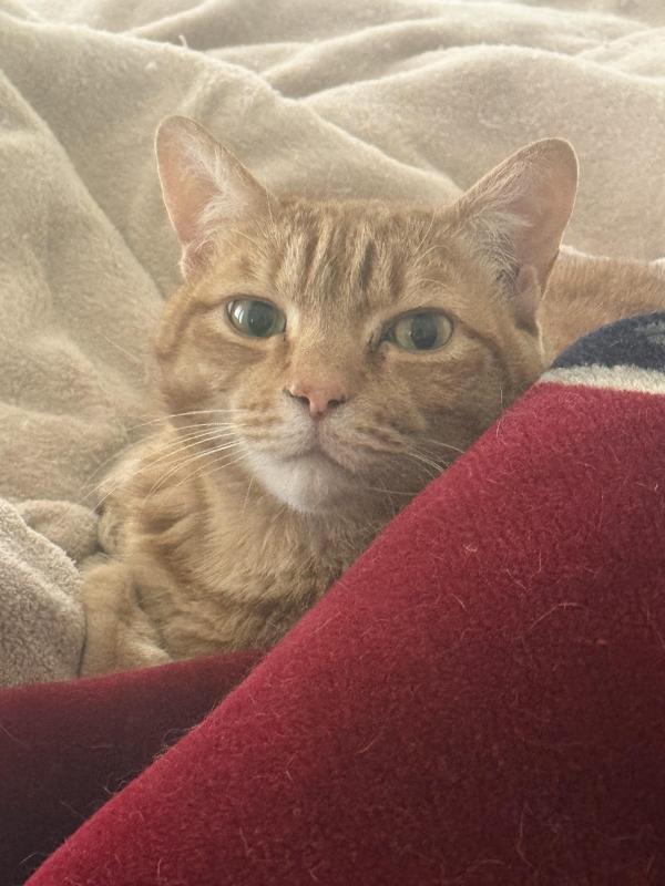 Jax uploaded   8  day/s  ago