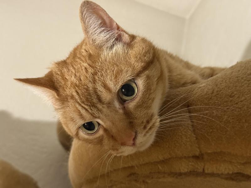 Jax uploaded   313  day/s  ago